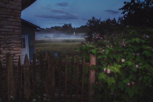 Туманный вечер