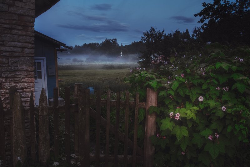 лето, изборск, туман Туманный вечер фото превью