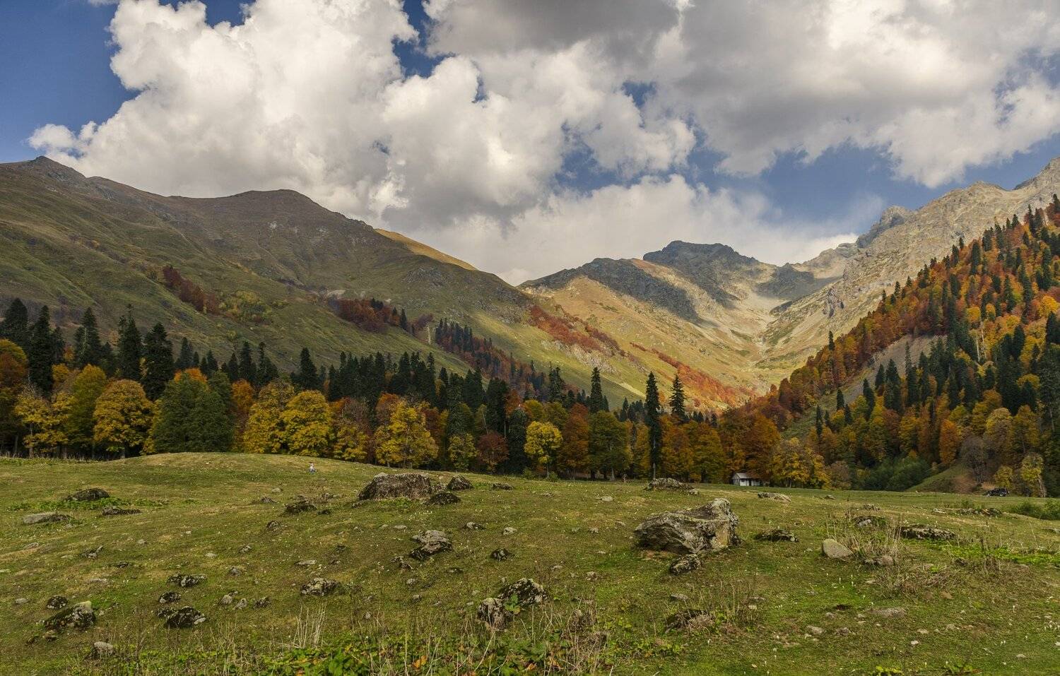 nevant60, пейзаж, красота, природа, горы, абхазия, Александр Березуцкий
