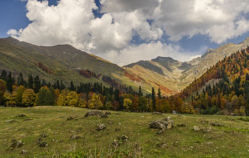 Альпийские луга Абхазии