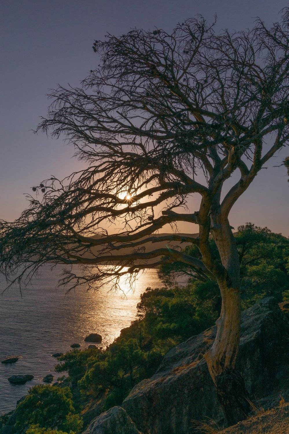 , Андрей Кривцов