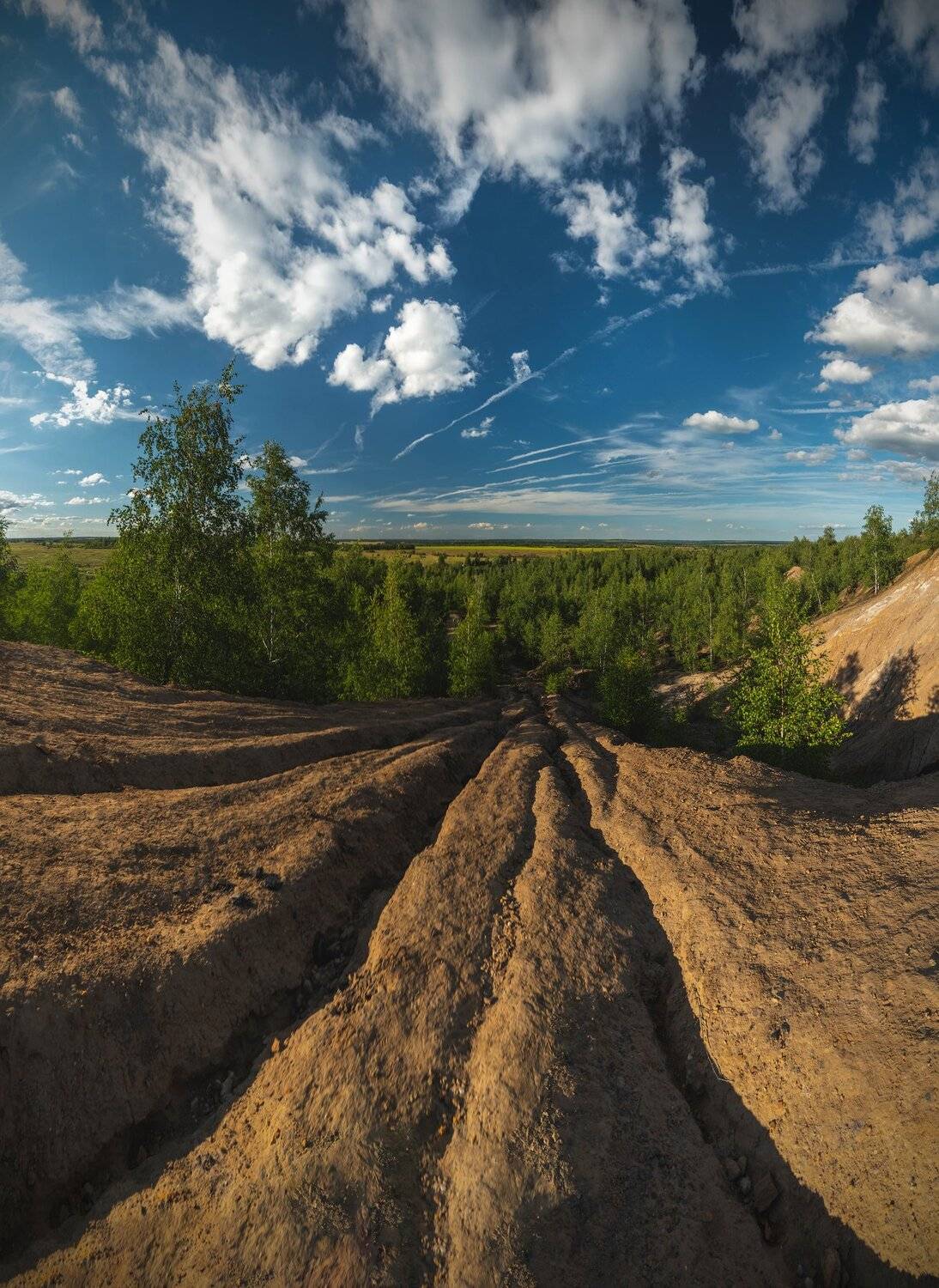 , Константин Дэм