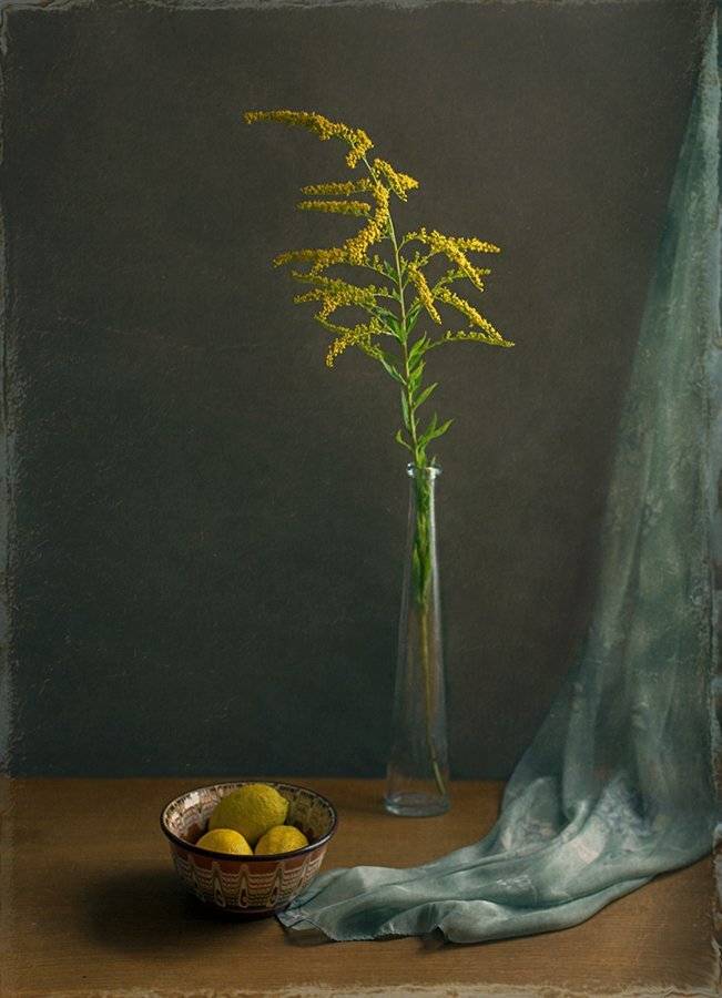 , Stein Georg