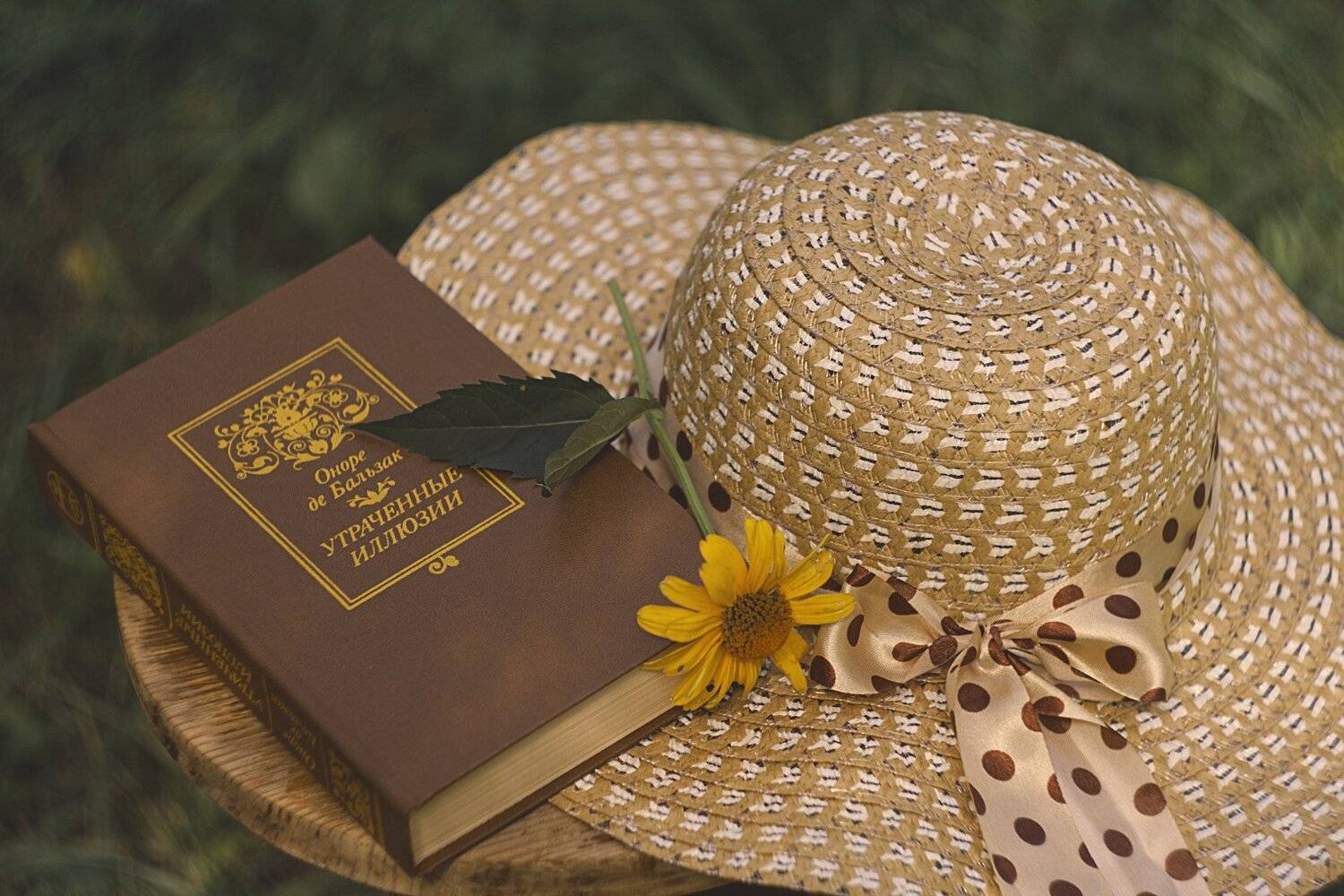 , Ольга Алексейчик