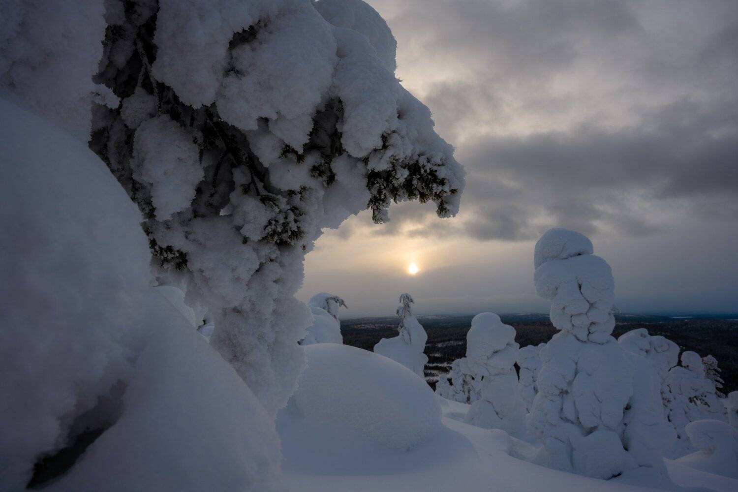 , Юлия Шумляева