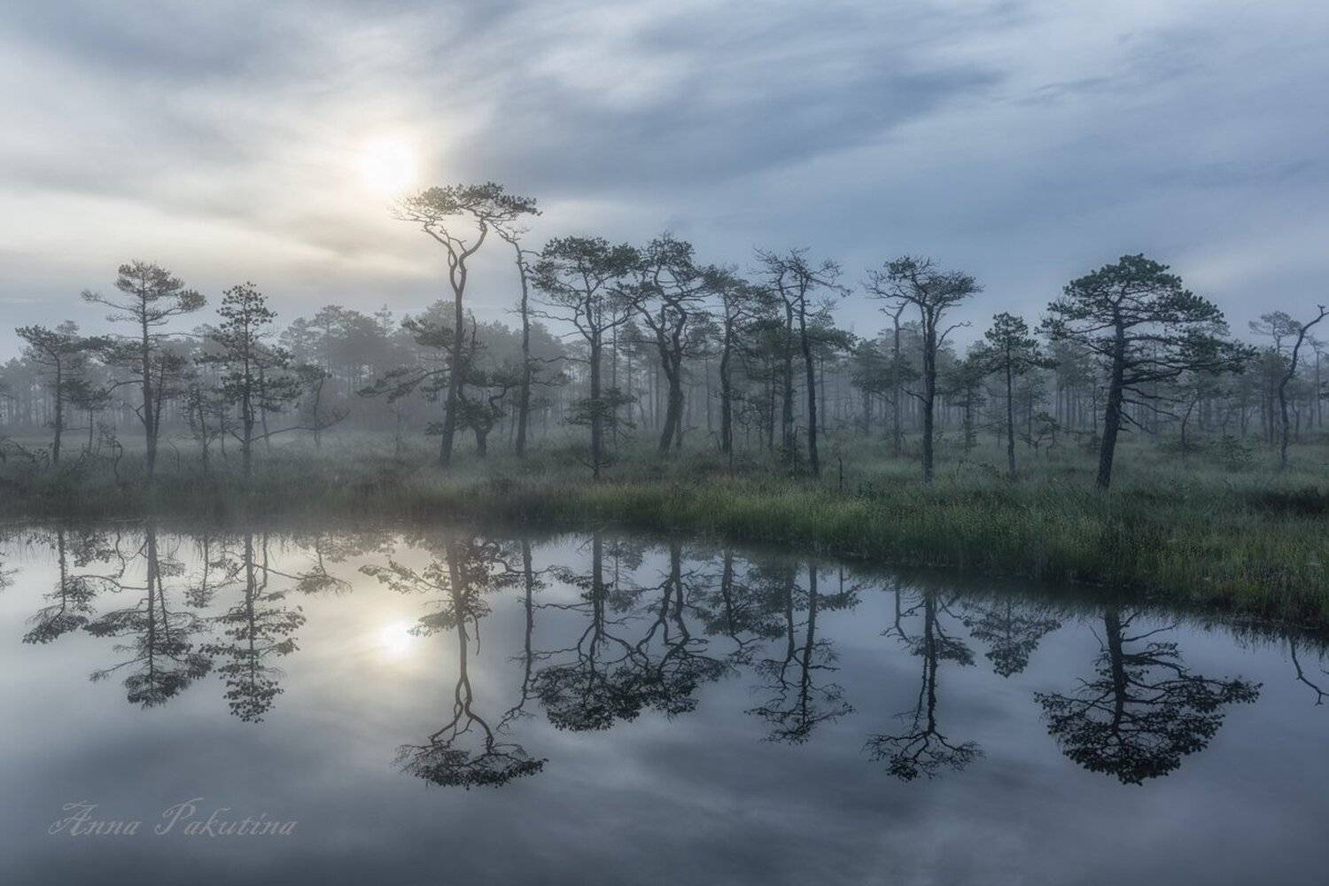 , Анна Пакутина