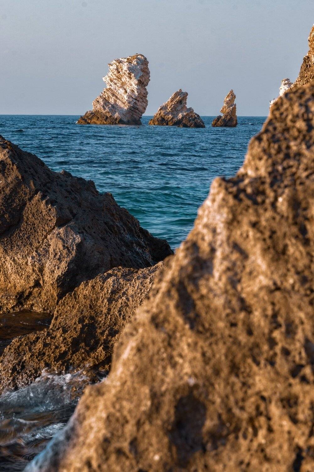 , Андрей Кривцов