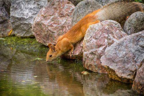 в жаркий день..