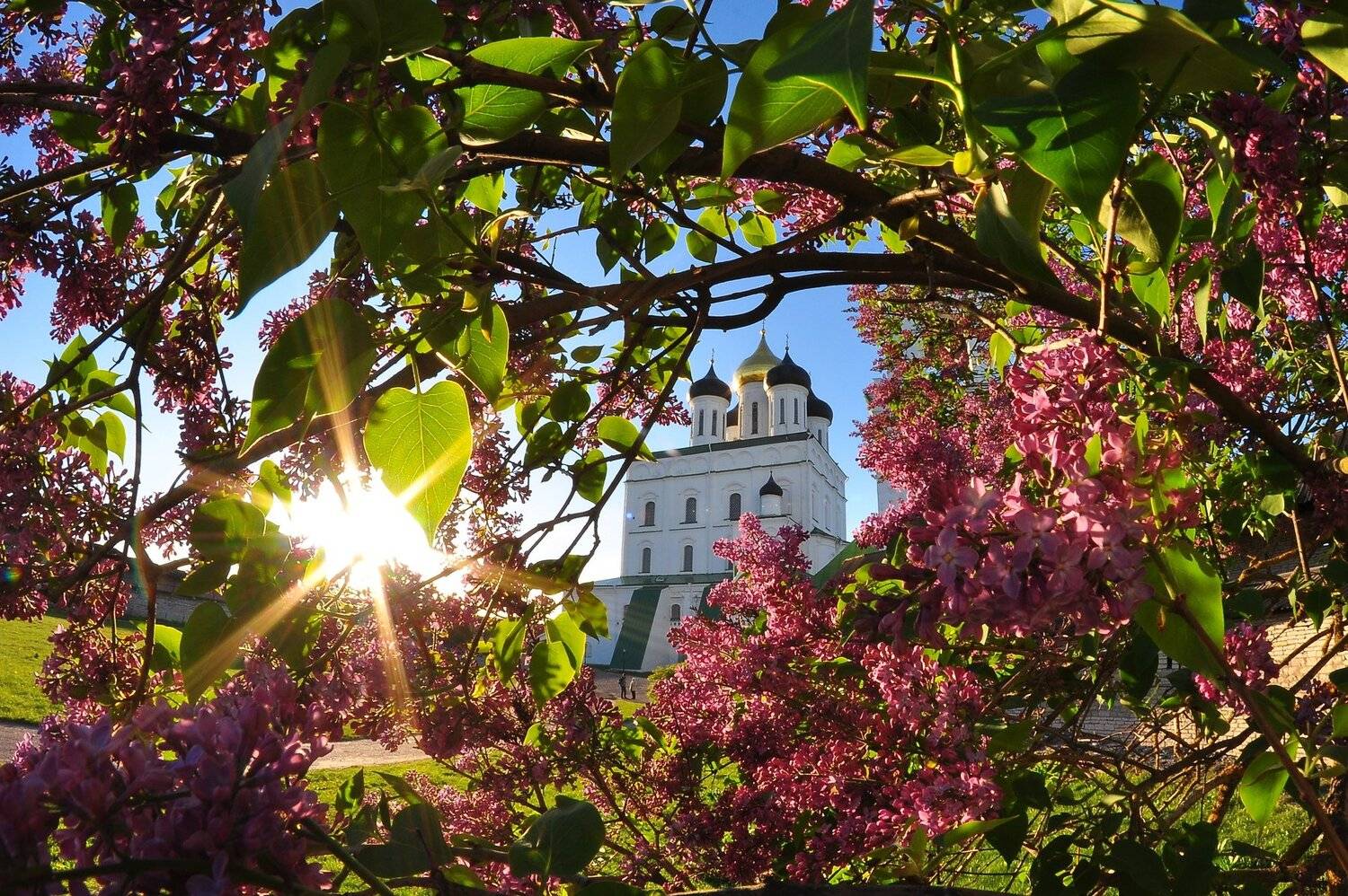 город, весна, пейзаж, собор, троицкий собор, сирень , солнце, Юрий Яковлев