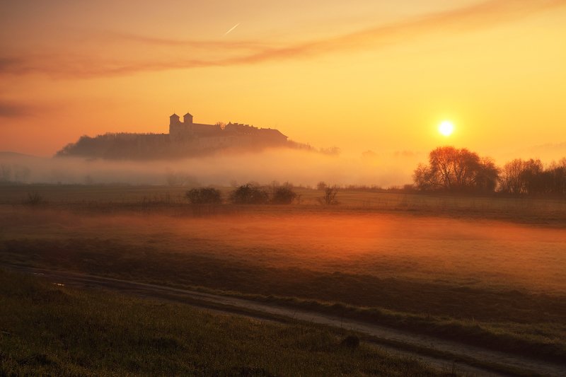 morning, spring, light, mood, mist, sun, abbey, Honey morning фото превью