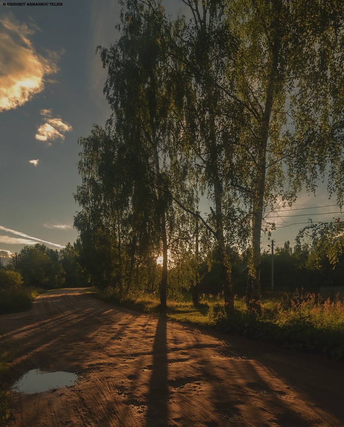 no people  tree  nature  outdoors  sky  beauty in nature  scenics - nature  tranquil scene  tranquility  landscape - scenery  sunset  silhouette  growth  environment  plant, Армашов-Тельник Григорий