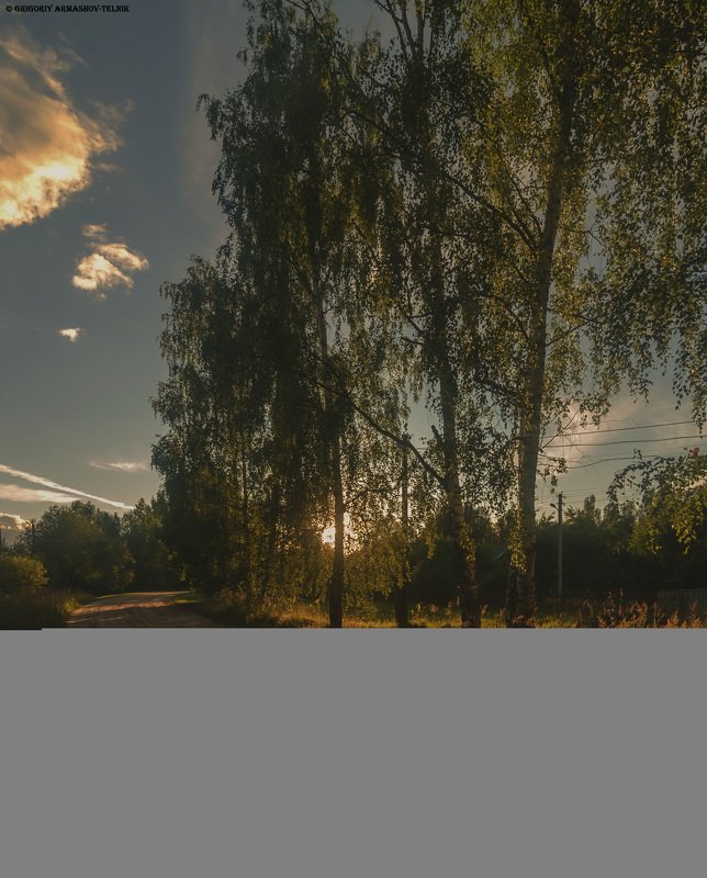 no people  tree  nature  outdoors  sky  beauty in nature  scenics - nature  tranquil scene  tranquility  landscape - scenery  sunset  silhouette  growth  environment  plant Вечерняя прогулка фото превью