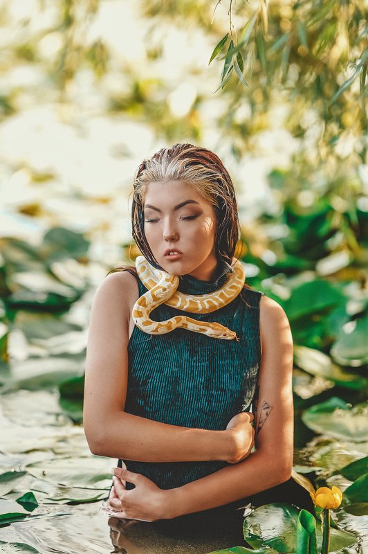 фото превью