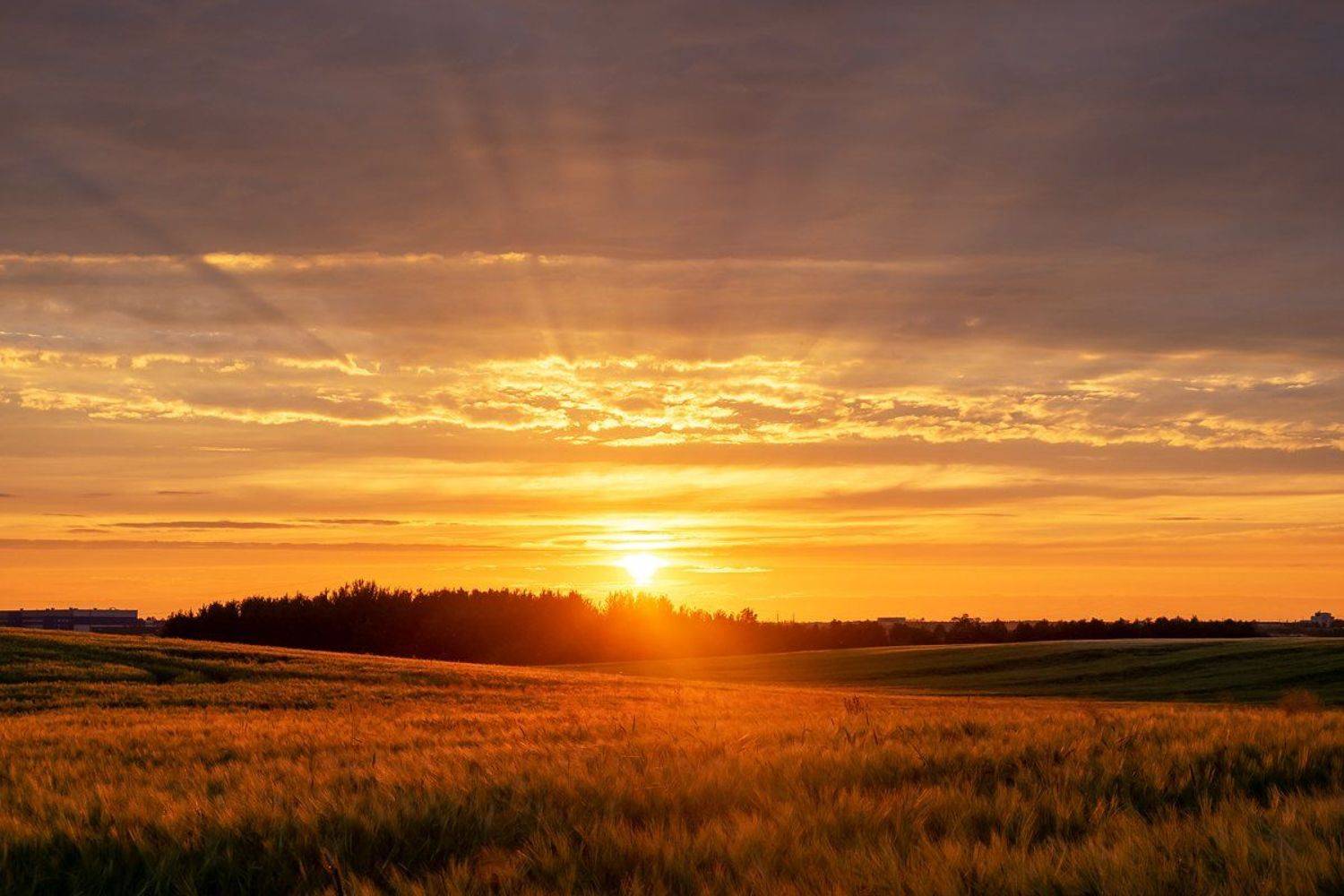 , Дима Карабинов