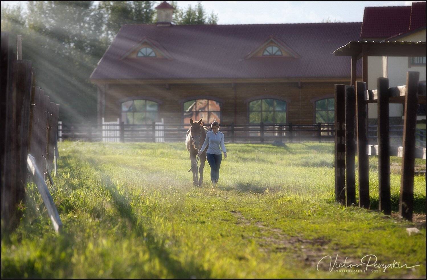 , Виктор Перякин