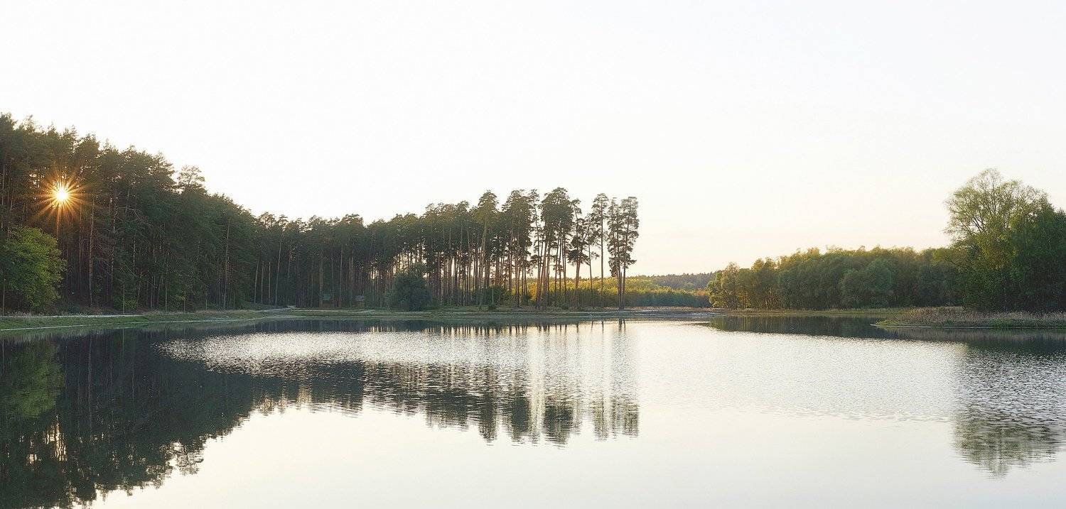 озеро, закат, лесное озеро, лес, сосны, солнце, Светлана Степанова