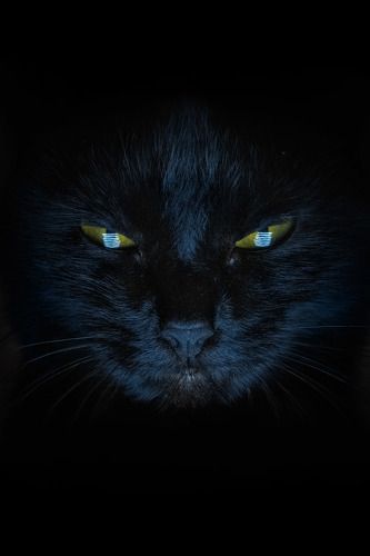 взгляд