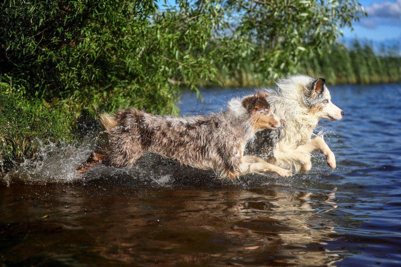 , Андрей Ершов