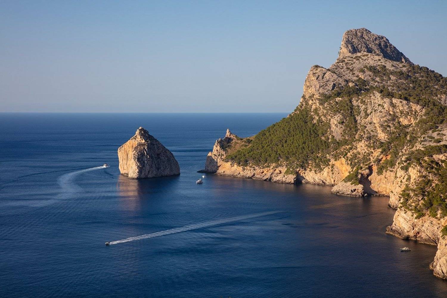 , Игорь Дубровский