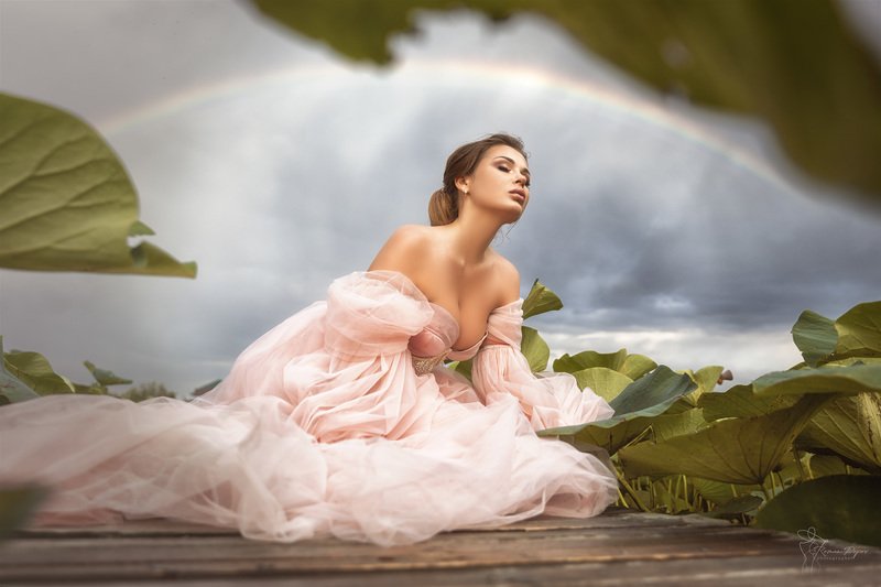 Лотосы фото превью