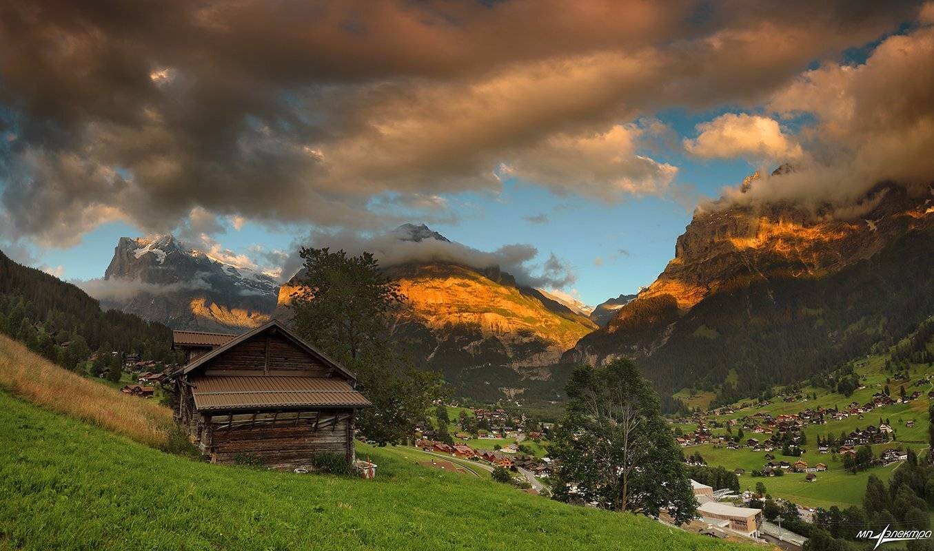swiss, Матвеев Николай