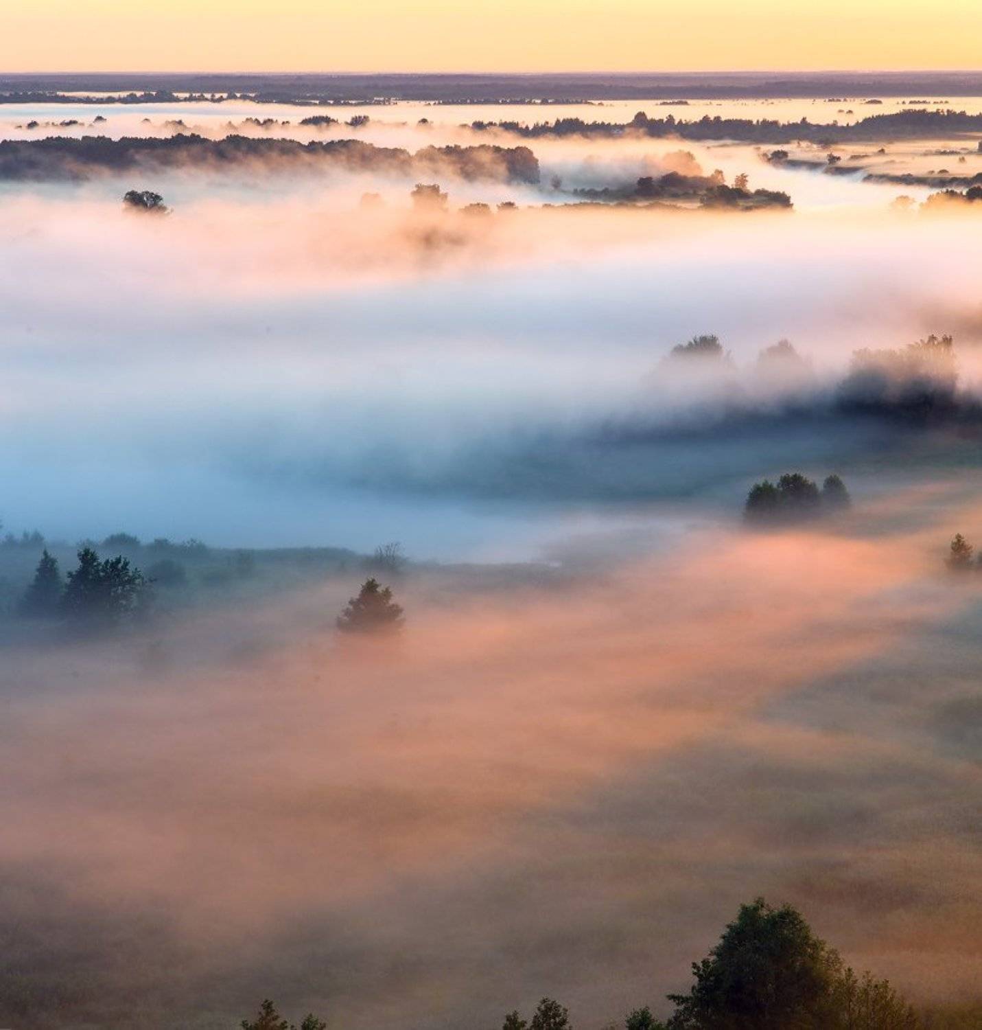 утро туман  клязьма восход состояние, Дмитрий Алексеев