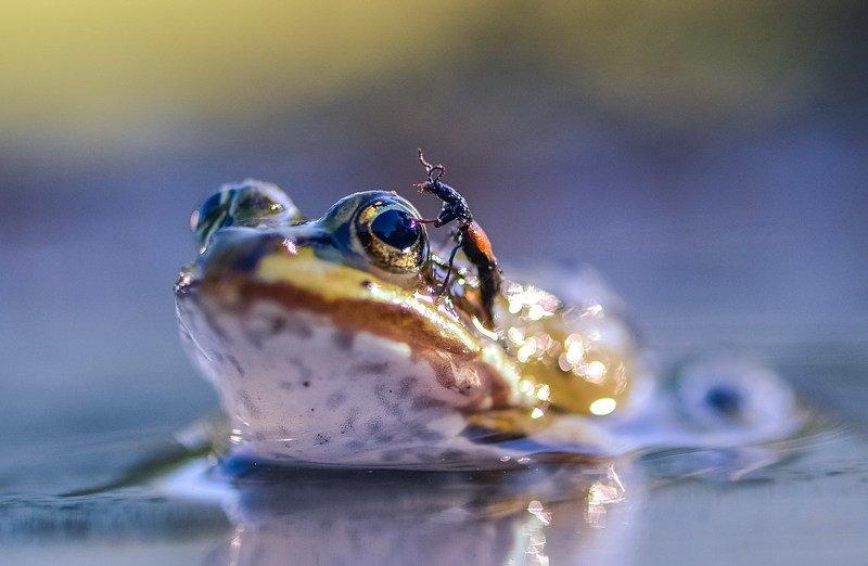 На приеме у глазника фото превью