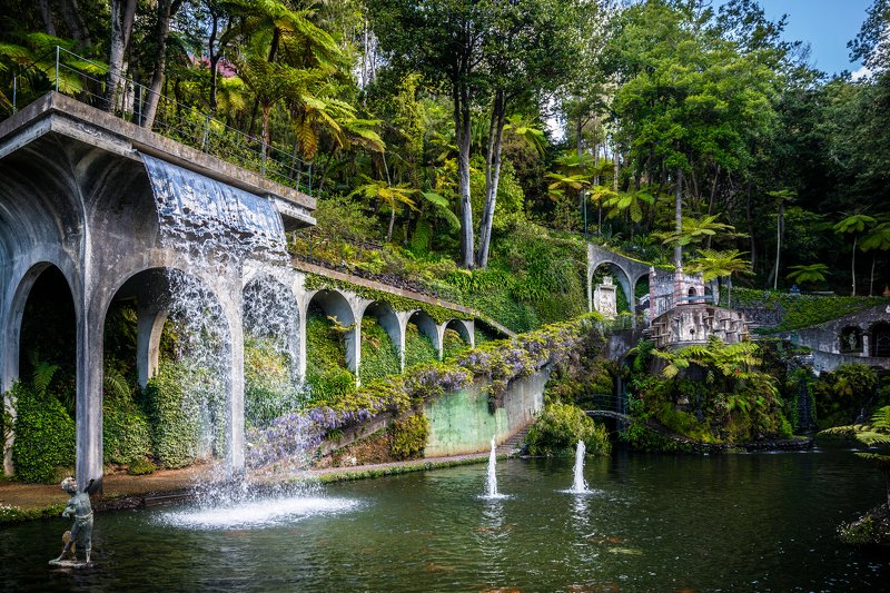 madeira ,funchal ,botanicalgarden ,madeirabotanicalgarden ,garden ,waterfall ,manmadewaterfall ,history ,plants ,floral ,diversity ,beautiful ,amazing ,jardimbotânicodamadeira ,portugal ,pillars ,lake ,koi ,koifish ,fish ,fontane ,water ,palmtrees ,tropic Garden of history фото превью
