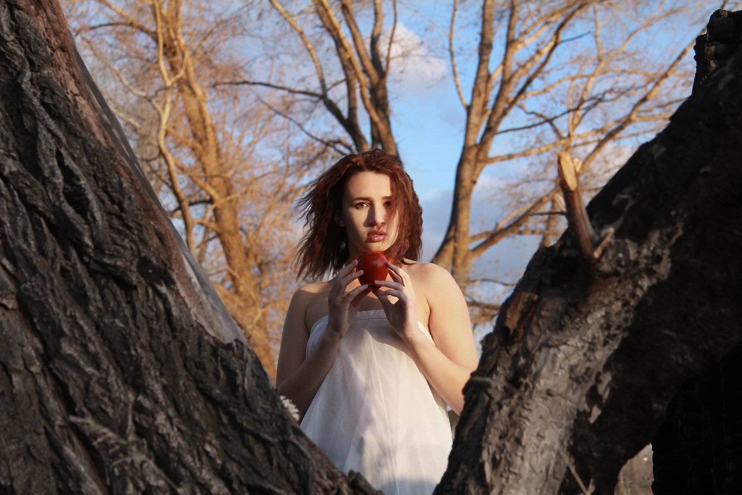 фотограф,павелтроицкий,девушка,портрет,модель,гламур,art, Павел Троицкий