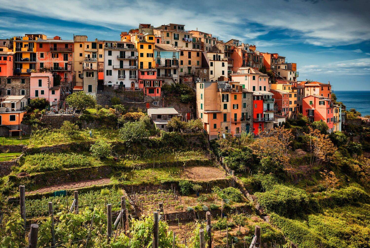 дома, холм, виноградник, Александр Безмолитвенный