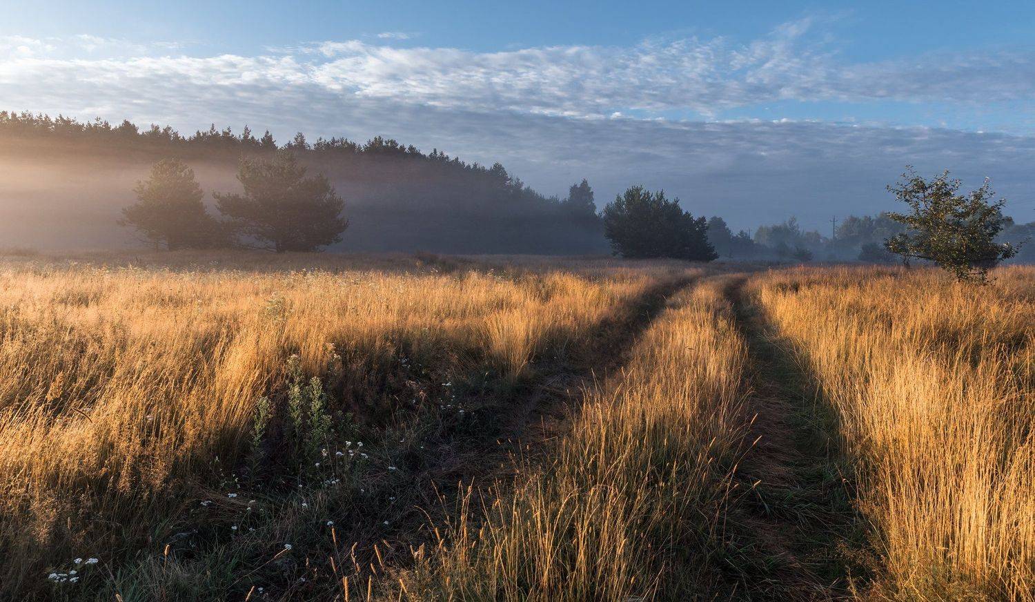 , Руслан Авдевич