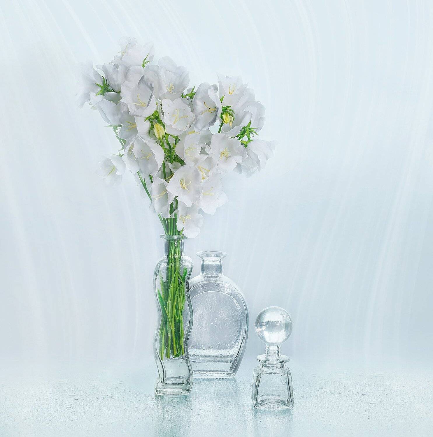 , MVO (Марк Орлов)