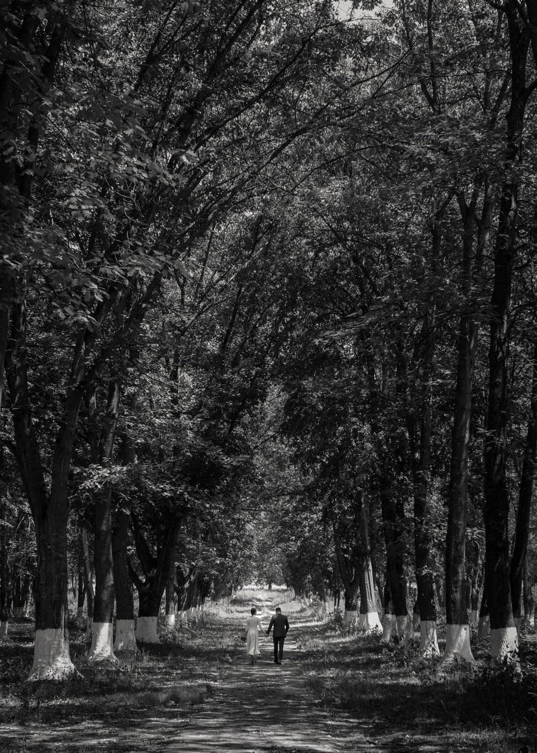 , Батраз Табуев