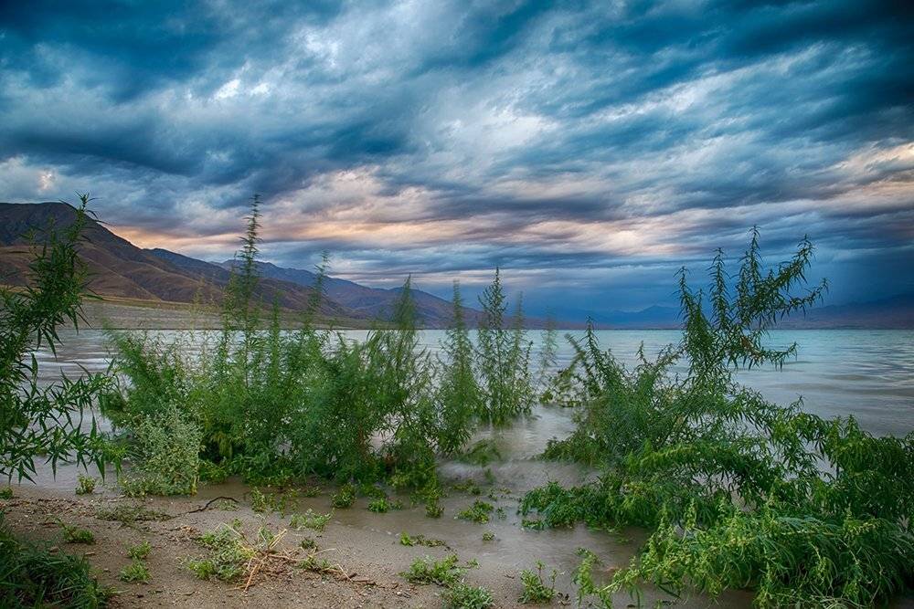 кыргызстан, горы, Элина Магалимова