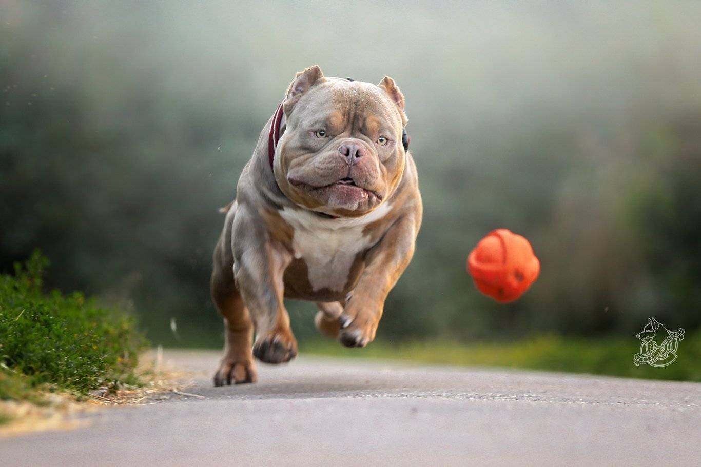 , Андрей Ершов