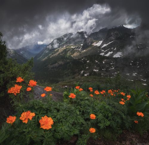 Пальцы великана