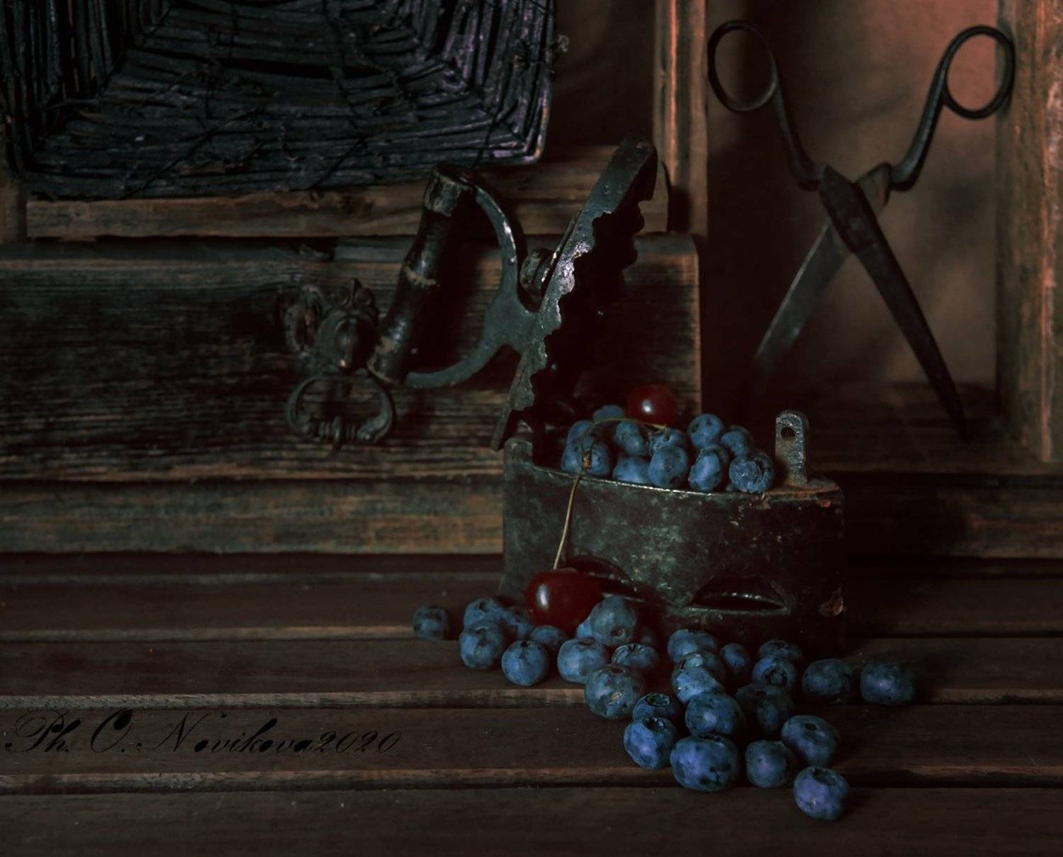 утюг,голубика,ягоды,ножницы, Ольга Новикова