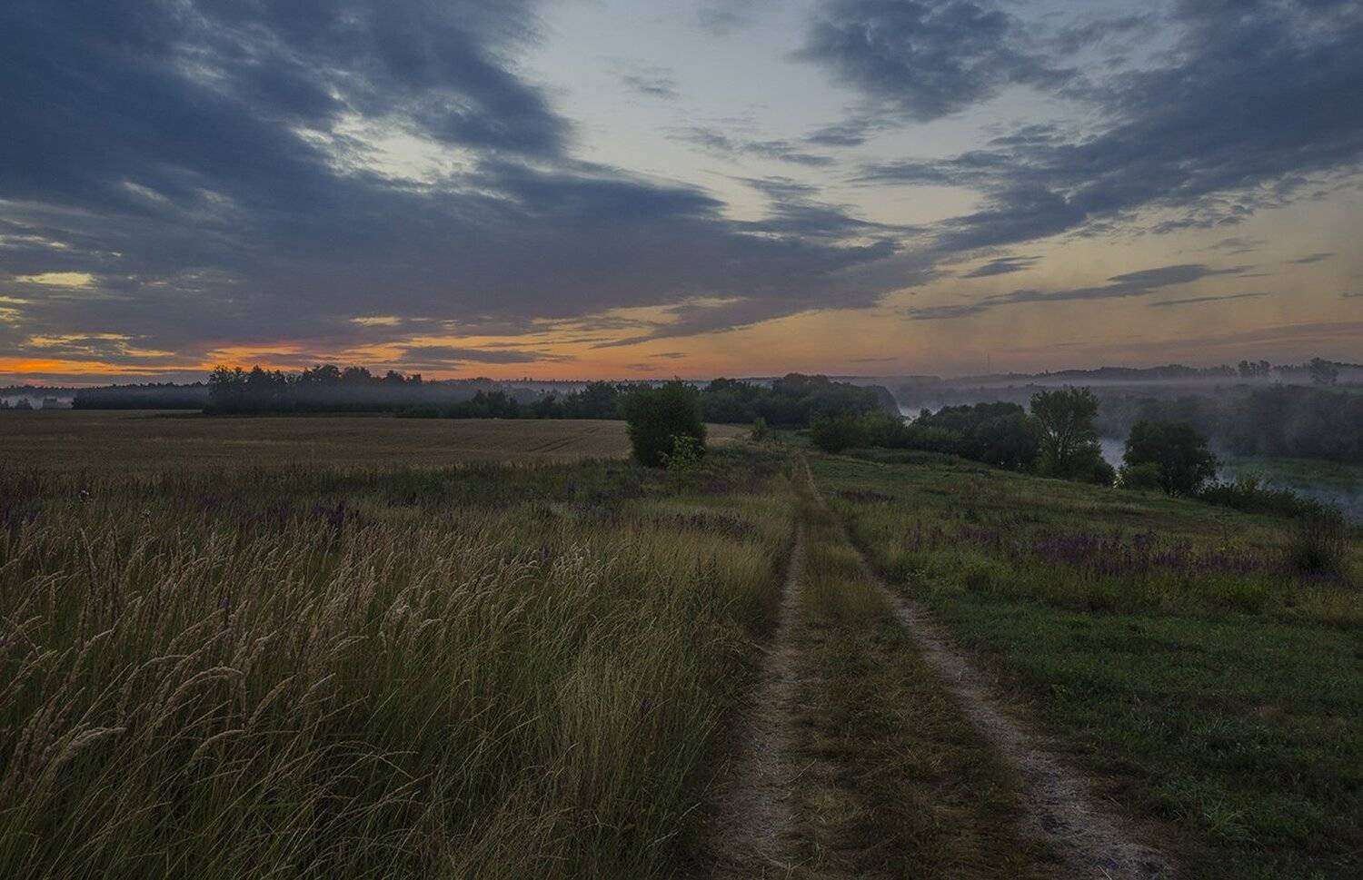 утро, рассвет, дорога, лето, Михаил Агеев