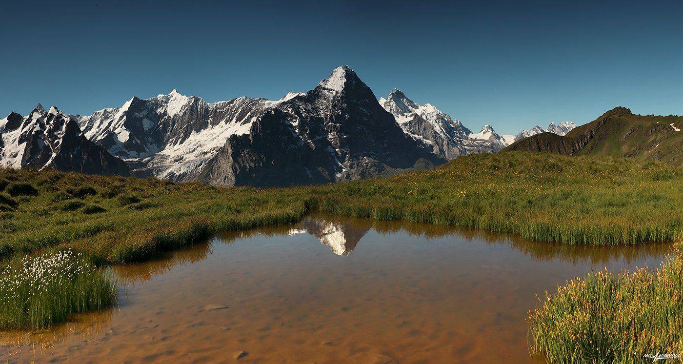 swiss, Матвеев Николай