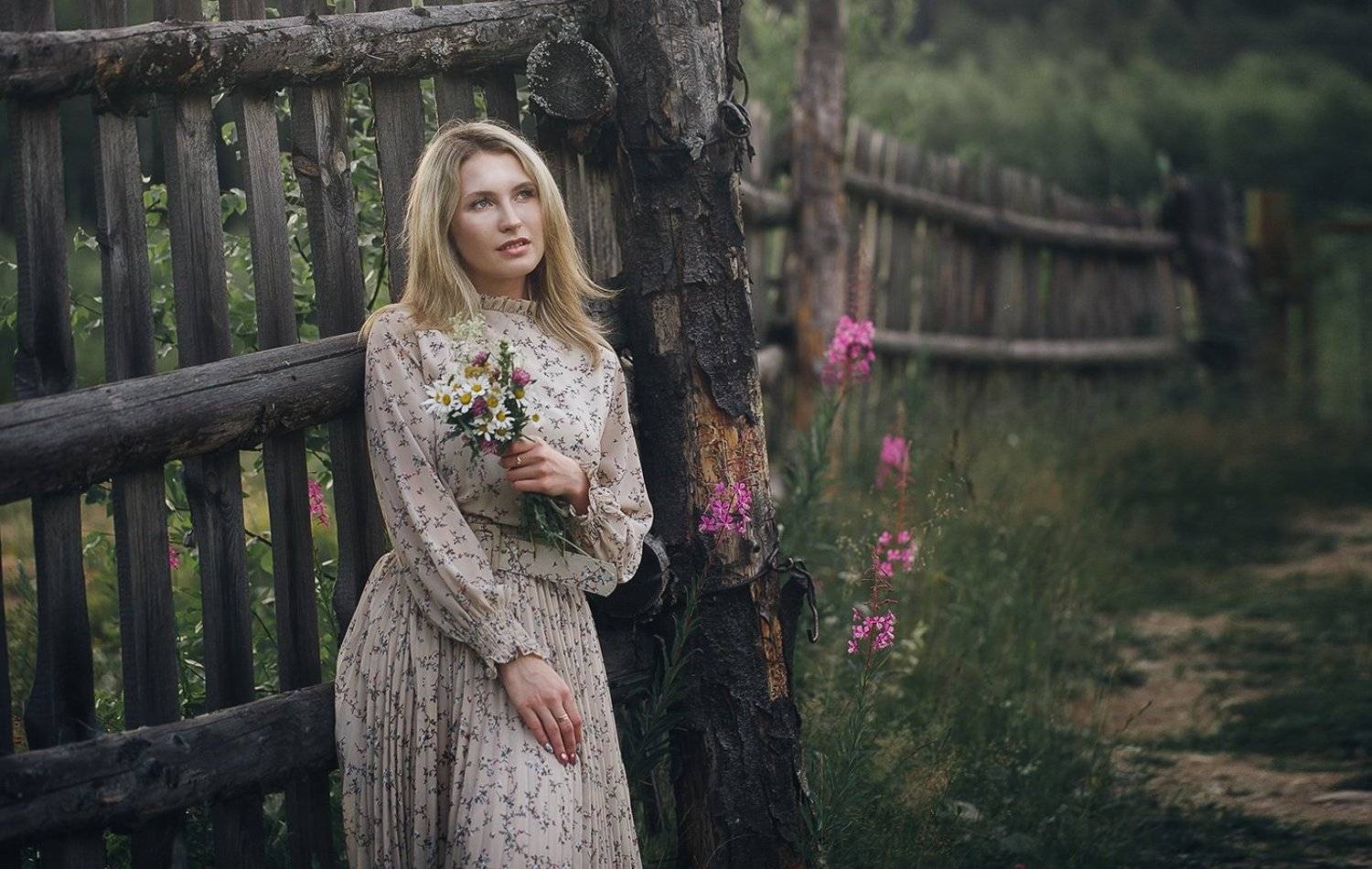 , Евгений Толкачёв