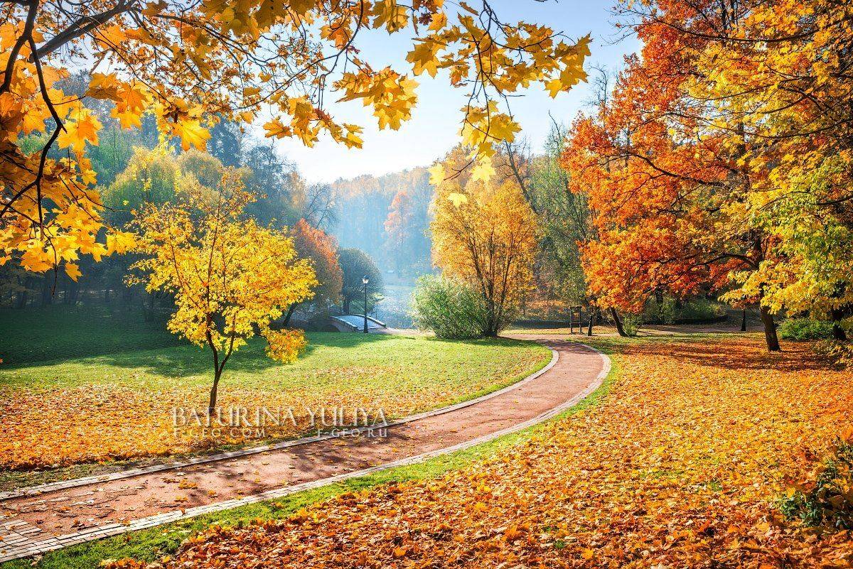 москва, царицыно, осень, Юлия Батурина