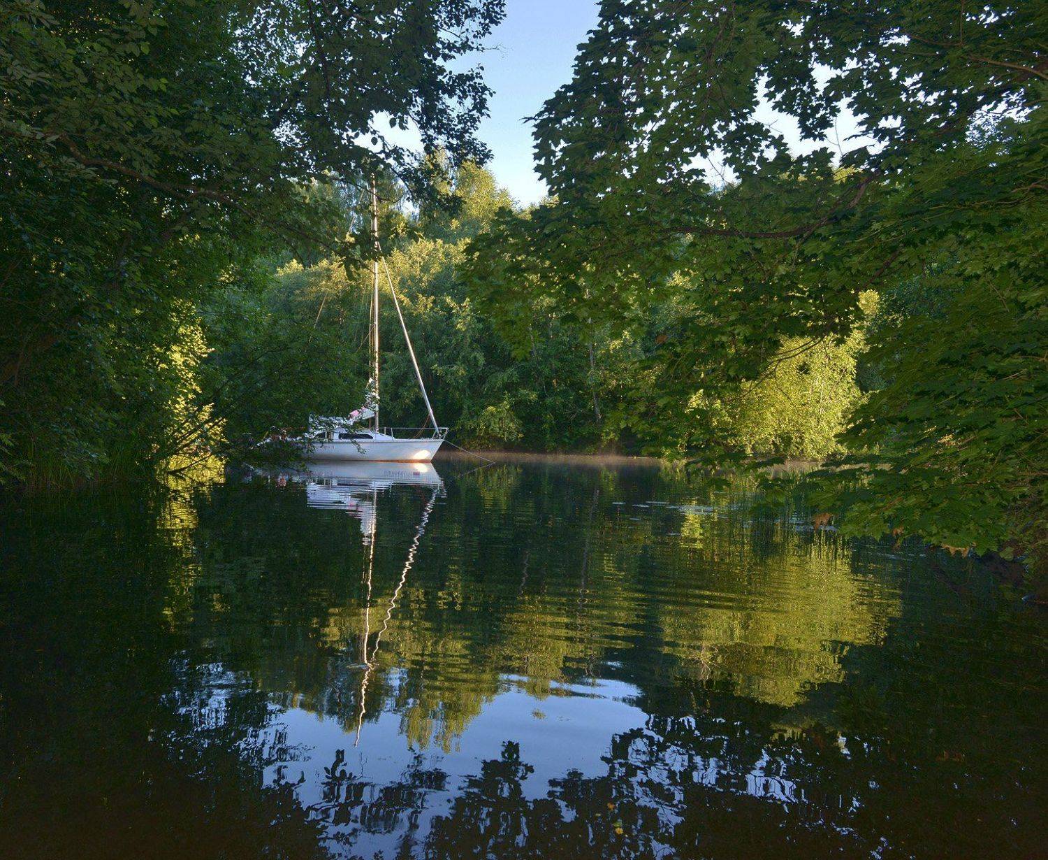 , Сергей Седов