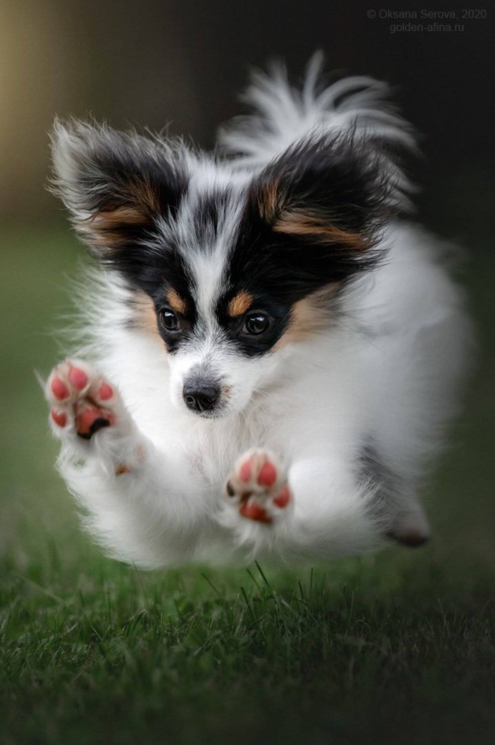 , Оксана Серова