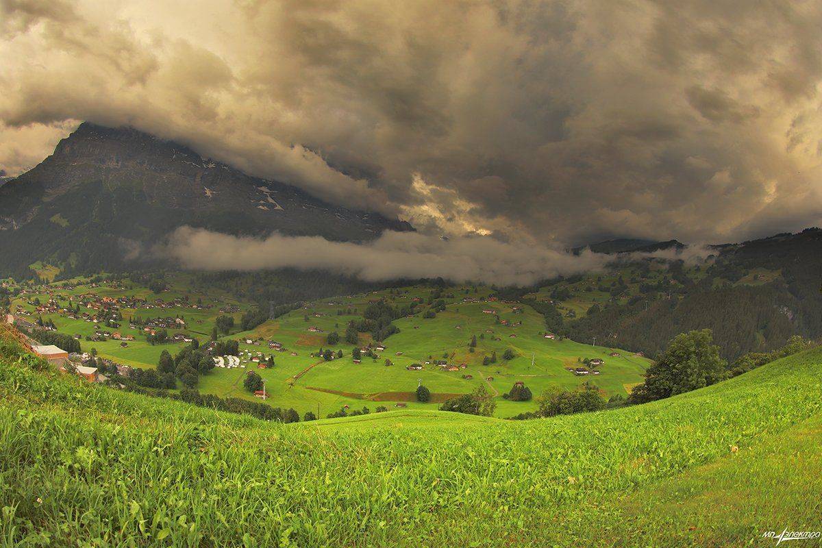 swiss, Матвеев Николай