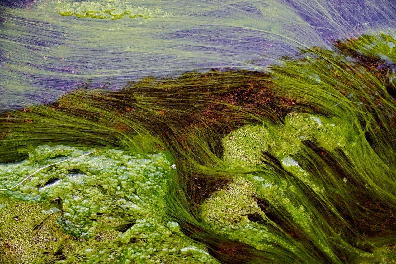 макро., Евгений Дроботенко