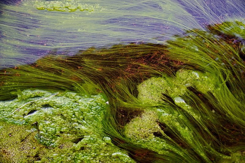 Картина в луже воды. фото превью