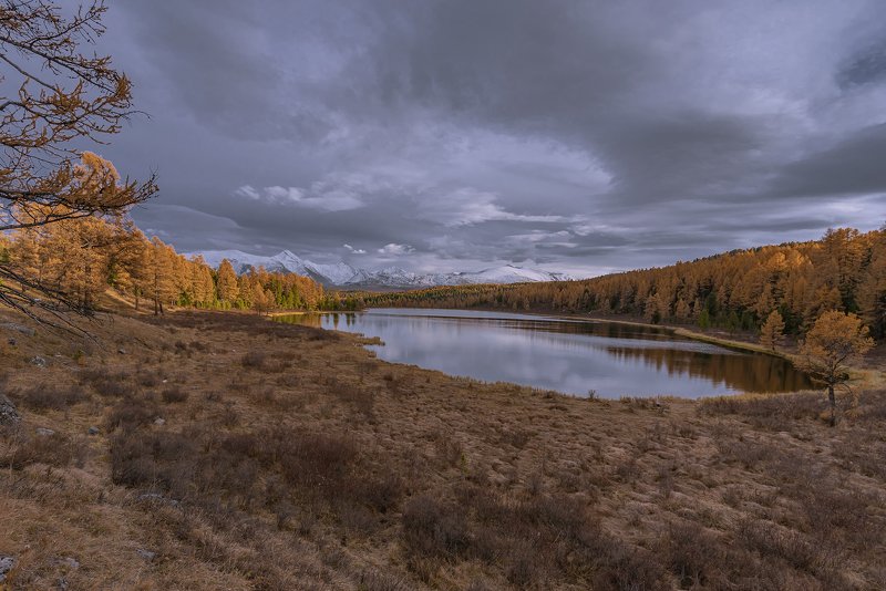 алтай,горный алтай,осень,закат,киделю У озера фото превью