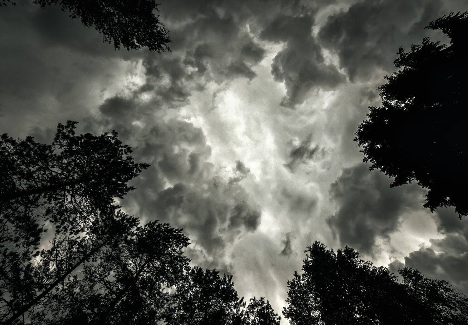 , Рут Андрей