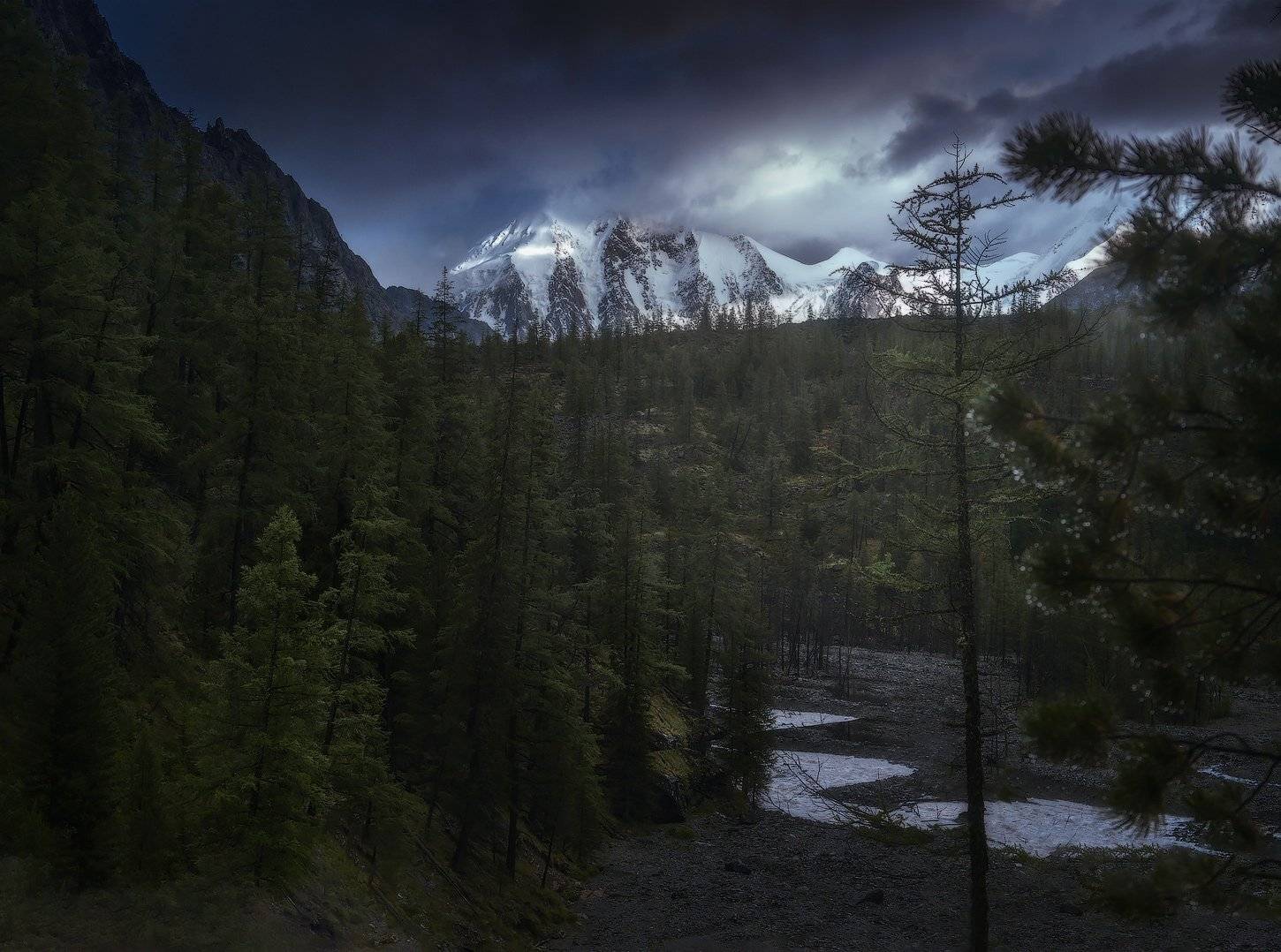 алтай, горы, маашей, Владимир Ляпин