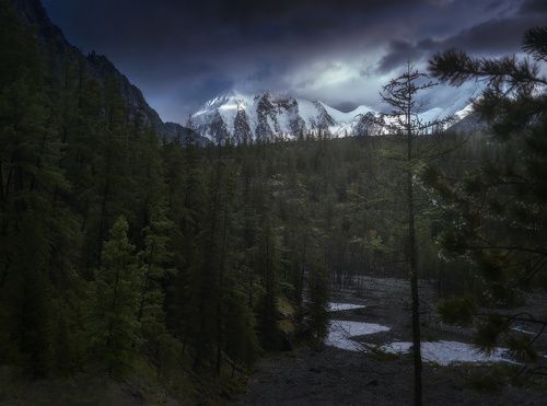 Через тернии к Маашею